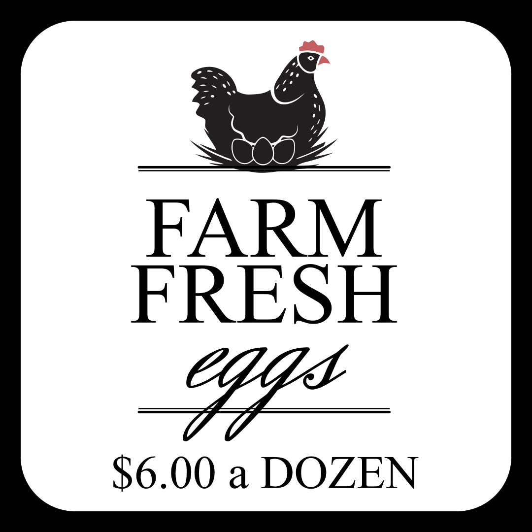 Farm Fresh Eggs (per dozen) | Renée's Music Store