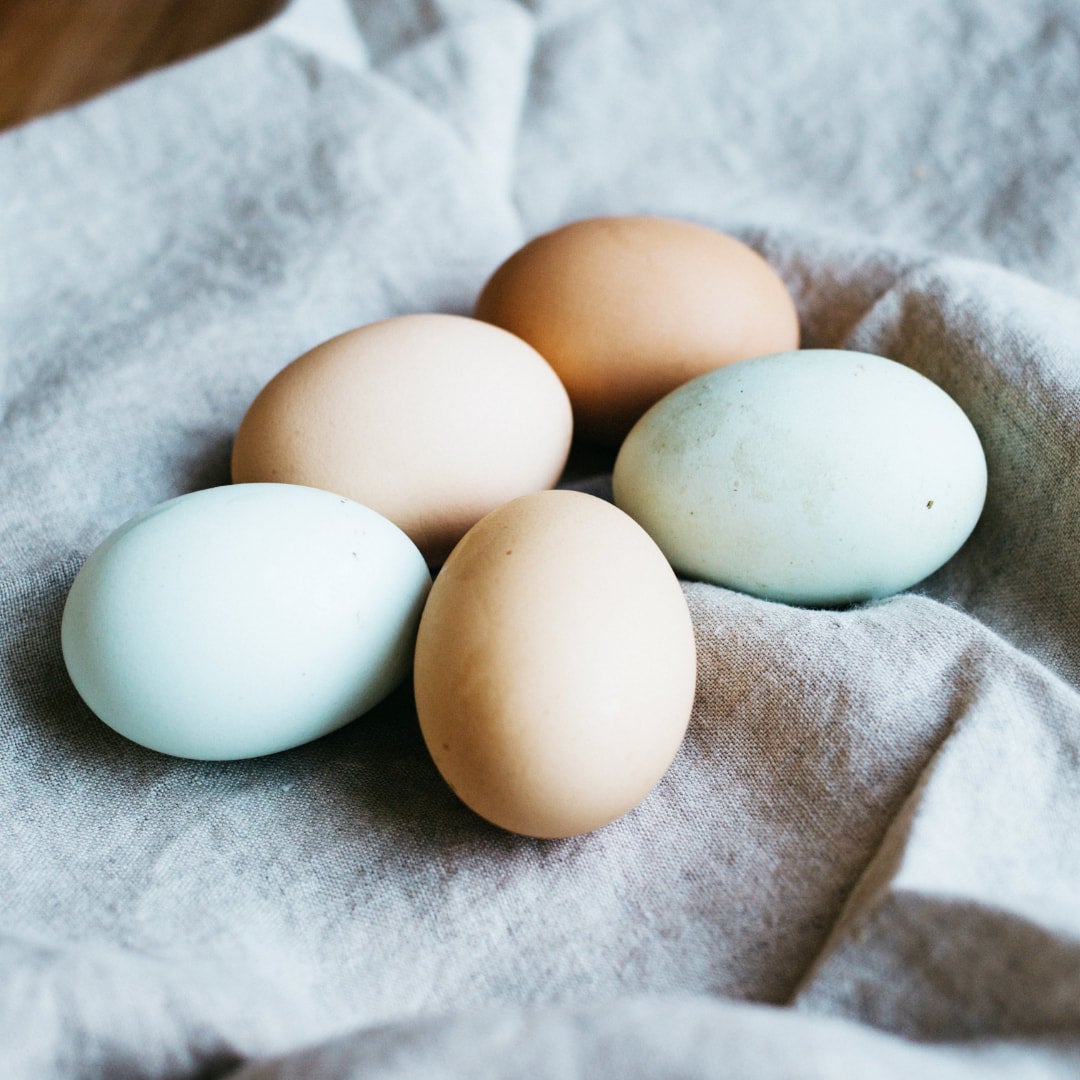 Farm Fresh Eggs (per dozen) | Renée's Music Store